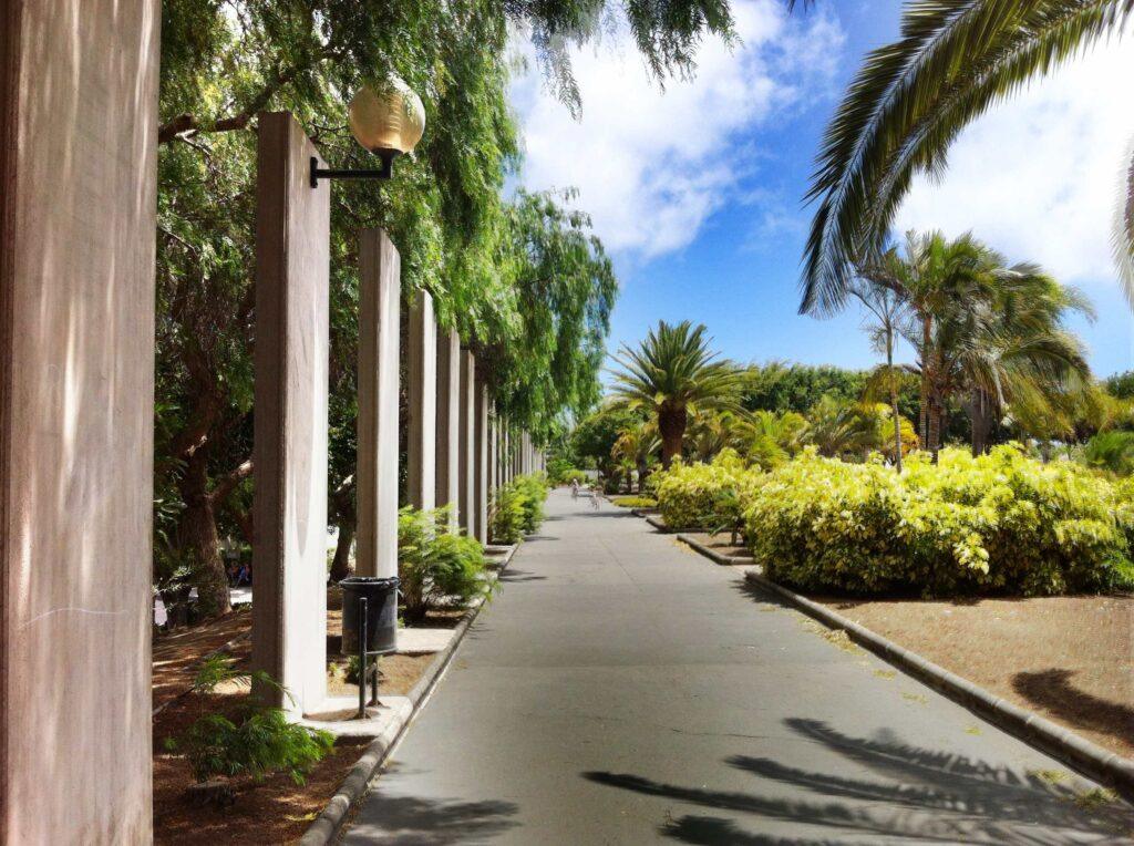 Gran Canaria Øst Telde parken