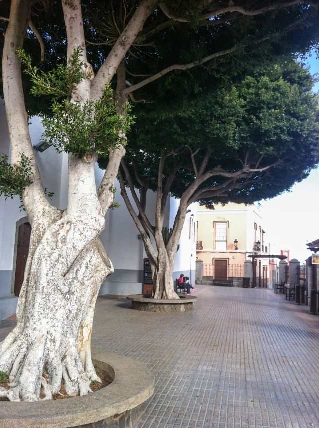 Gran Canaria Øst Ingenio Kirkeplassen i Carrisal