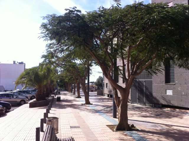 El Tablero Gran Canaria Sør