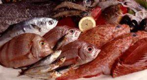 Gran Canaria Nord Arucas fisk