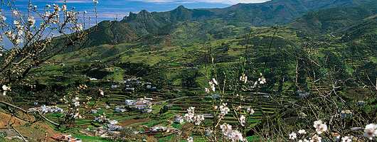 Gran Canaria Øst san mateo