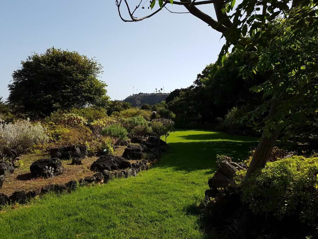 Jardin Botanico Canario Las Palmas