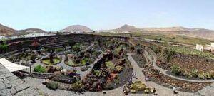 Jardín_de_cactus_pano