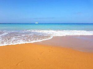 Tauro Gran Canaria Sør - Betingelser - The Islands In The Sun