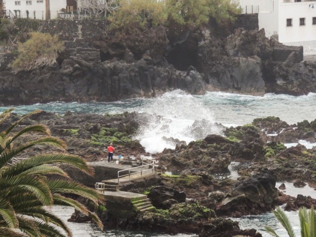 Puerto de la Cruz, Tenerife
