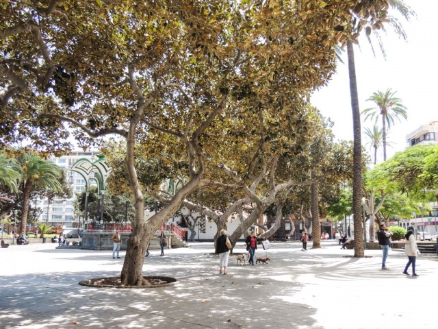 Paque San Telmo, Las Palmas, Gran Canaria