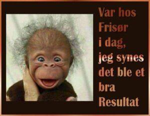 Å klippe seg på Gran Canaria