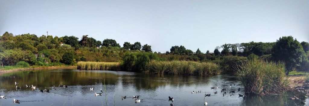 Valeseco La Laguna Gran Canaria