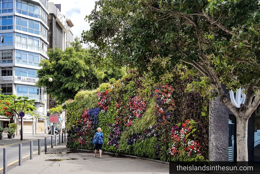 Plaza de España Santa Cruz de Tenerife
