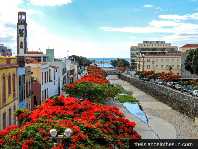 Santa Cruz de Tenerife