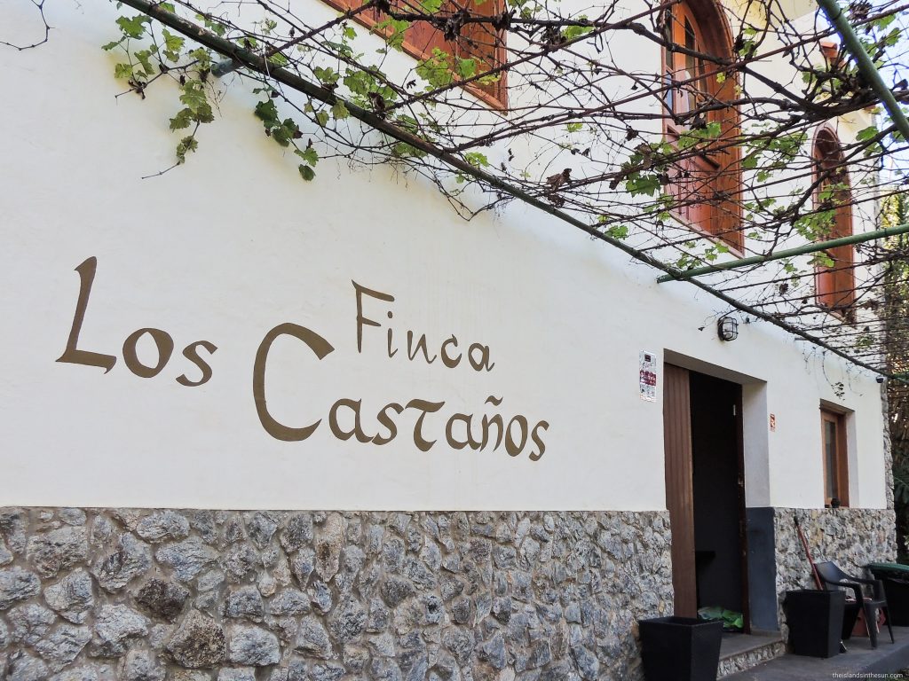 Valle de Agaete - Vin - www.theislandsinthesun.com