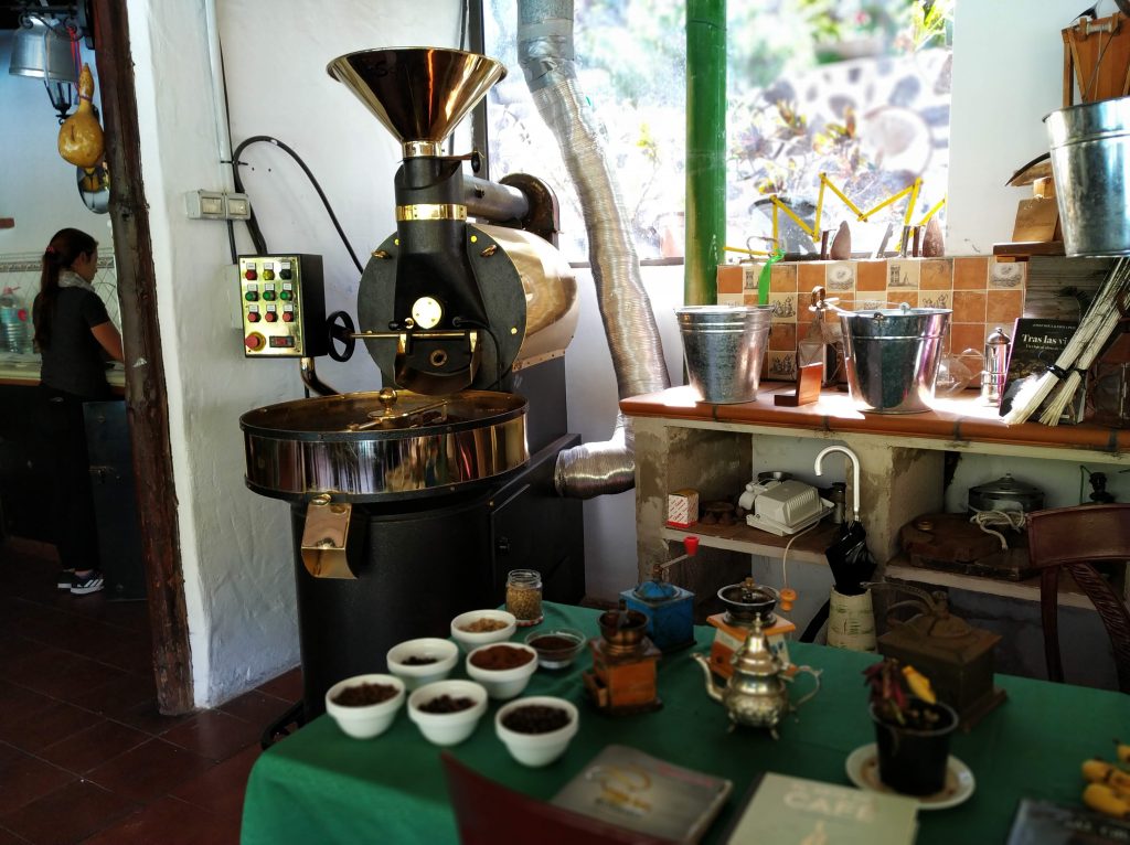 Valle de Agaete - Vin - www.theislandsinthesun.com