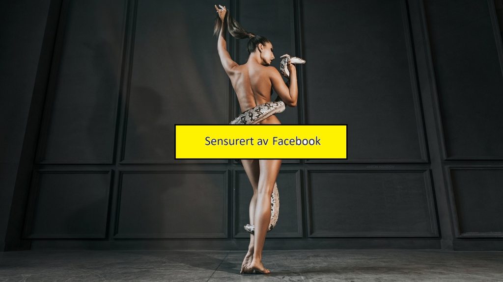 Dame og slange Foto Marcus Dombrowski Pixabay men sensurert av Facebook