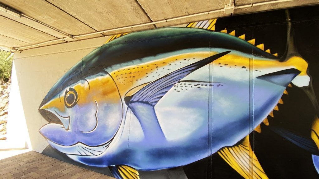 Graffiti av KAZ i Arguineguin Foto Torill Slåtten Jacobsen