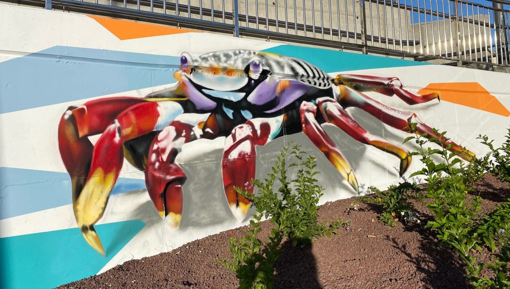 Graffiti av KAZ i Arguineguin Foto Torill Slåtten Jacobsen