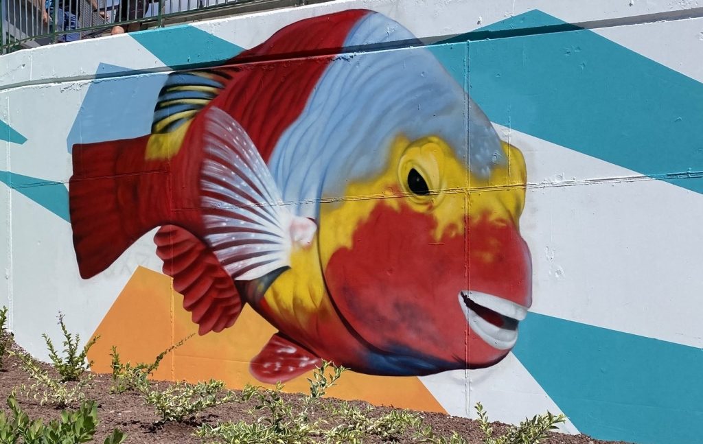 Graffiti av KAZ i Arguineguin Foto Torill Slåtten Jacobsen